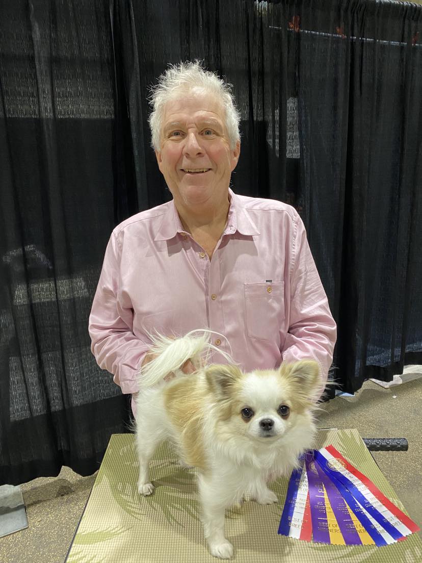 Reddeer dog show