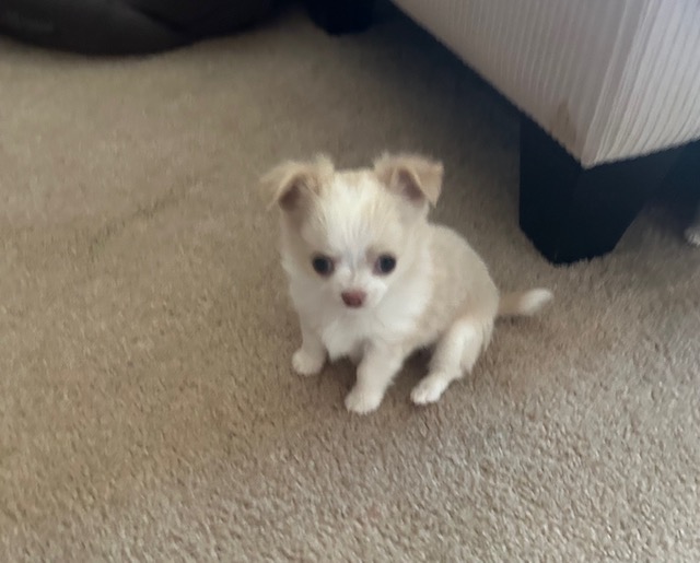 Rafael at 7 weeks