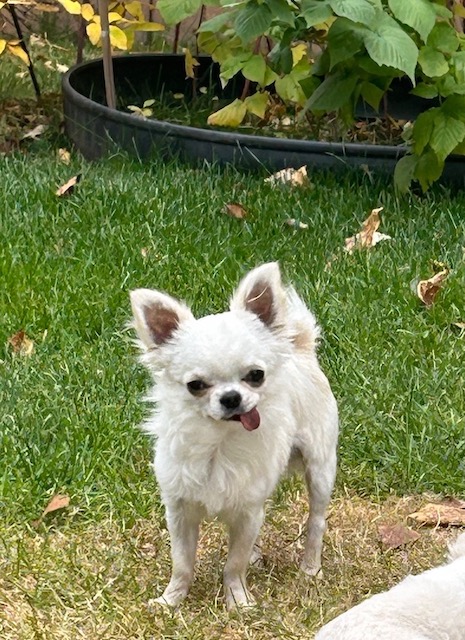 Winnie