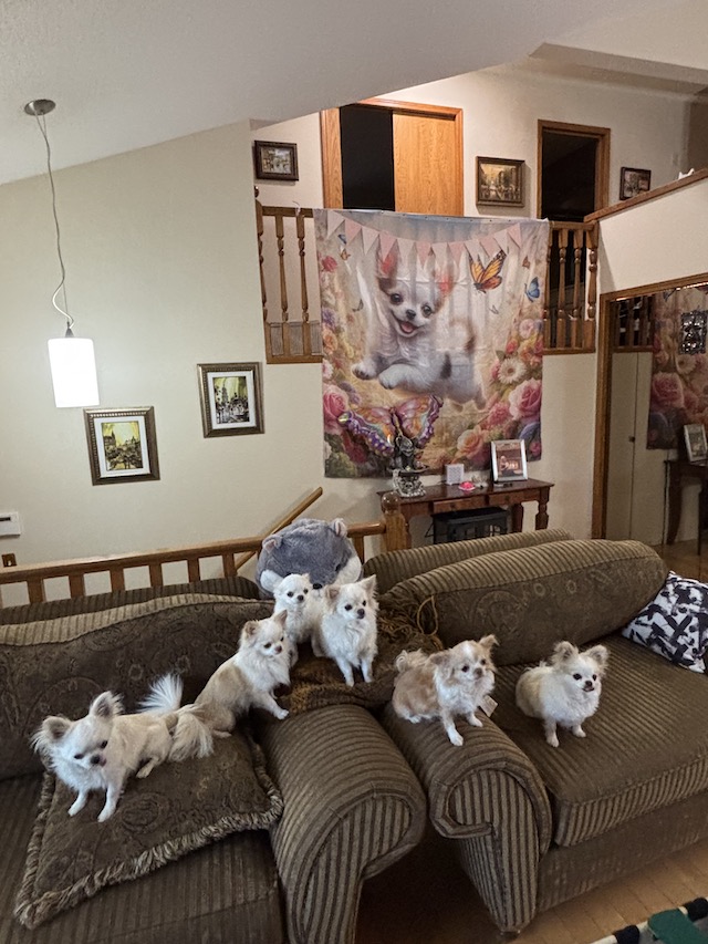 Prada's 3rd Birthday Party
