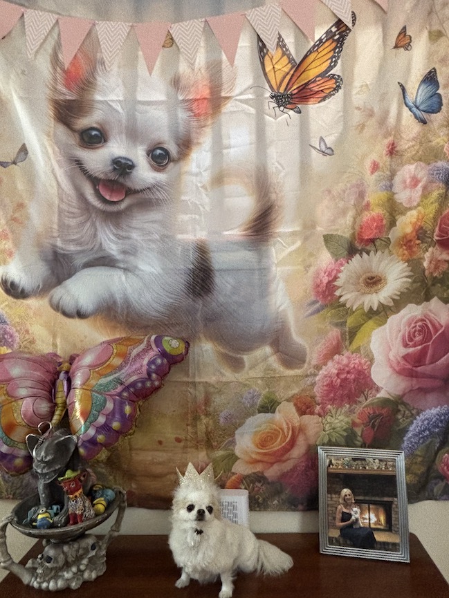 Prada's 3rd birthday party continued