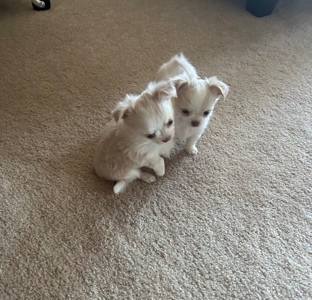 two together