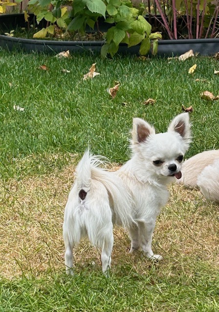 more Winnie